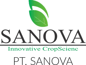 PT SANOVA